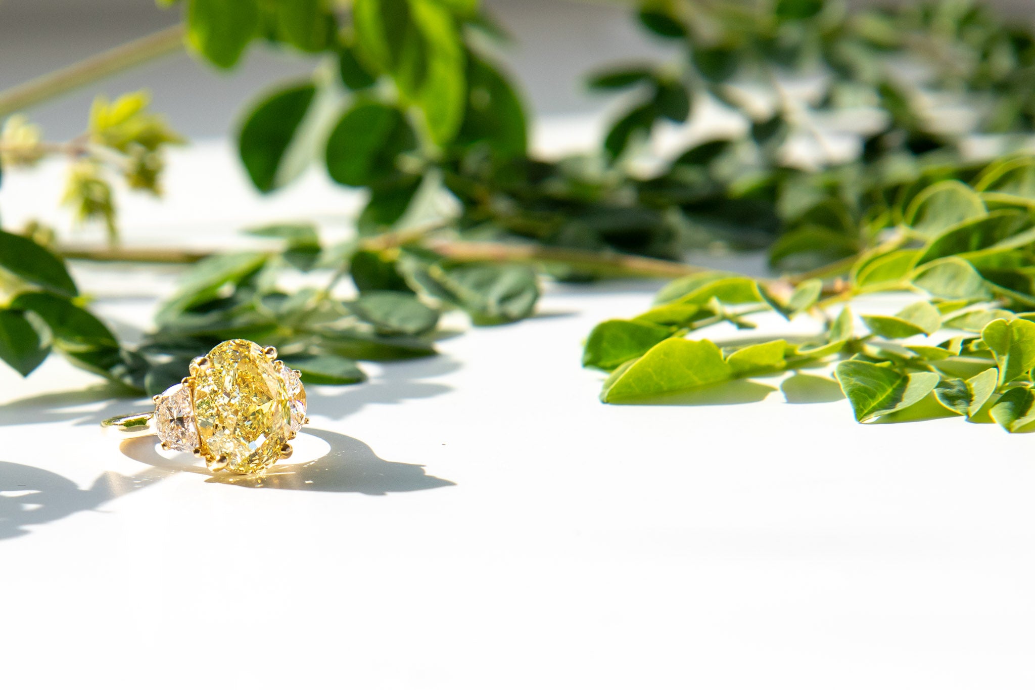 Setting | Halo Diamond Ring– Engagement Ring - Ting Diamond | Hong Kong  Diamond Jewelry‎ Stones（GIA Diamond Price、Engagement Rings、Proposal Rings、Wedding  Rings）