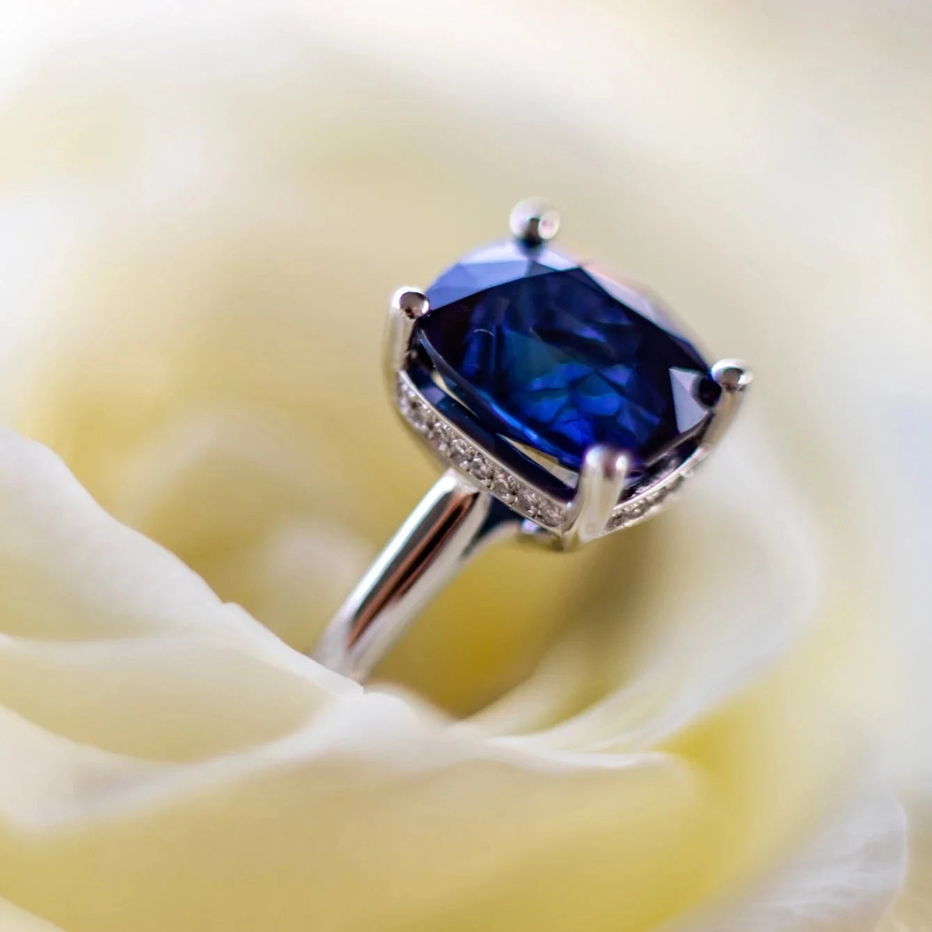 Sapphire and hiden halo ring